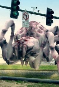 Arachnoquake