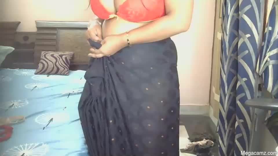Dolly_2