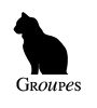Groupes