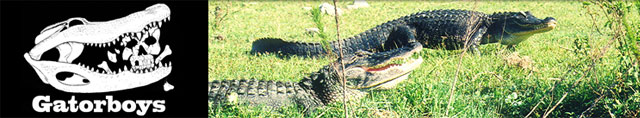 Before the intrusion of man, alligators used to own South Florida. Times have changed, however, and now there's a daily struggle between man and beast. It's that struggle that keeps Paul Bedard and Jimmy Riffle busy. The ``Gator Boys'' operate an animal facility in the Everglades, with the goal to capture nuisance gators -- and other wildlife -- and return them to their natural habitat before trappers kill the animals. With 30 years of experience between them, Bedard and Riffle have a well-earned reputation for successfully rescuing and wrangling gators with their bare hands and saving locals from many precarious situations.