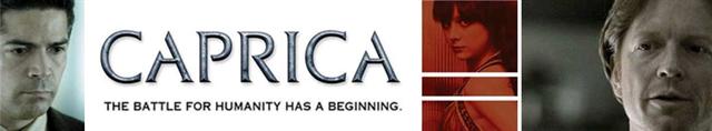 Set nearly 60 years before the events depicted in Battlestar Galactica, Caprica tells the story of how the Cylons came to be, set against the backdrop of the Greystones and the Adamas, two families that are changed in an act of tragedy that takes the lives of their daughters.