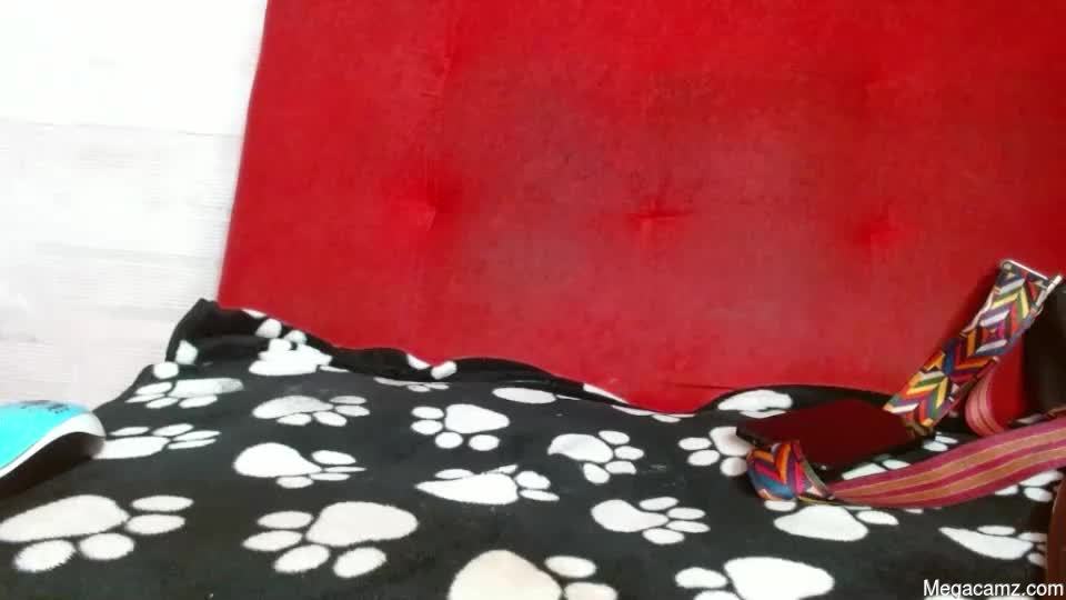 Gatita_1997