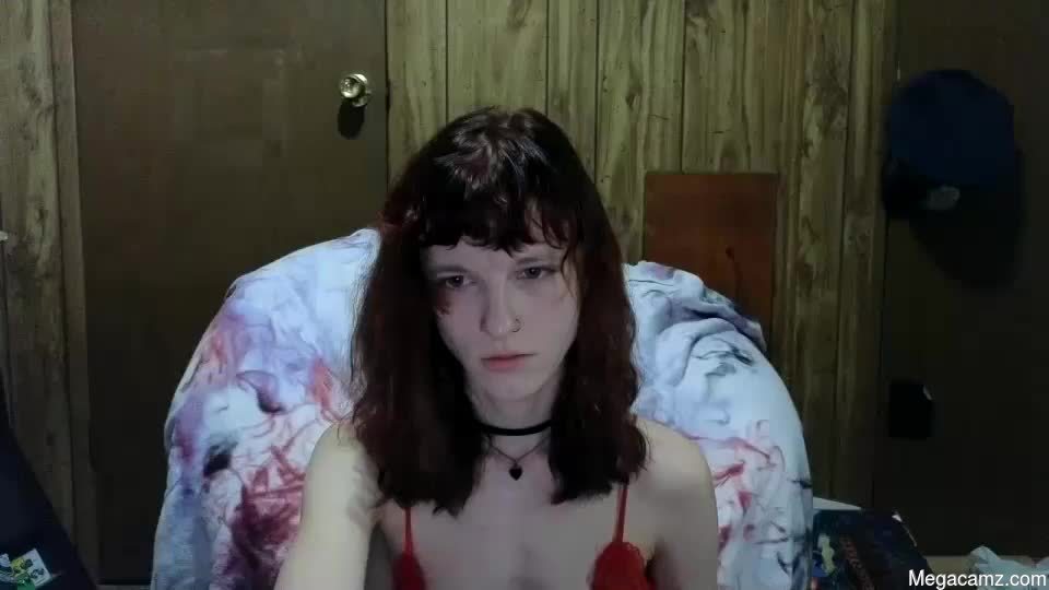 Rosieneko2033