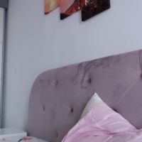 Theellenshow