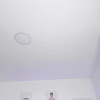Scarlett_ev