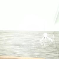 Maddy_cartter