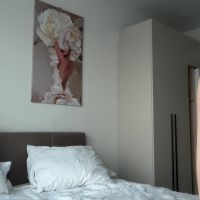 Pileacadieri__