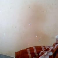 Ortta0904