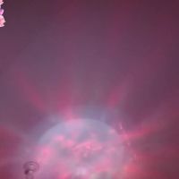 Venus_serenity_
