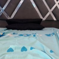 Alice_jhonsson
