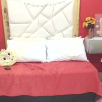 Canella_hotx