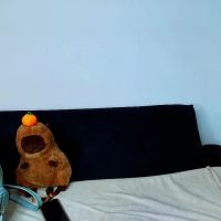 Kitty_ravee