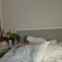 Moon_flo_li