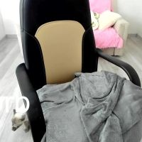 Molly_sweetbaby