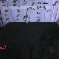 Tina_tayllor
