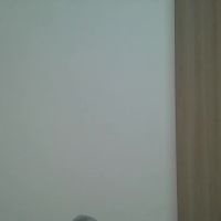 Aine_ileana