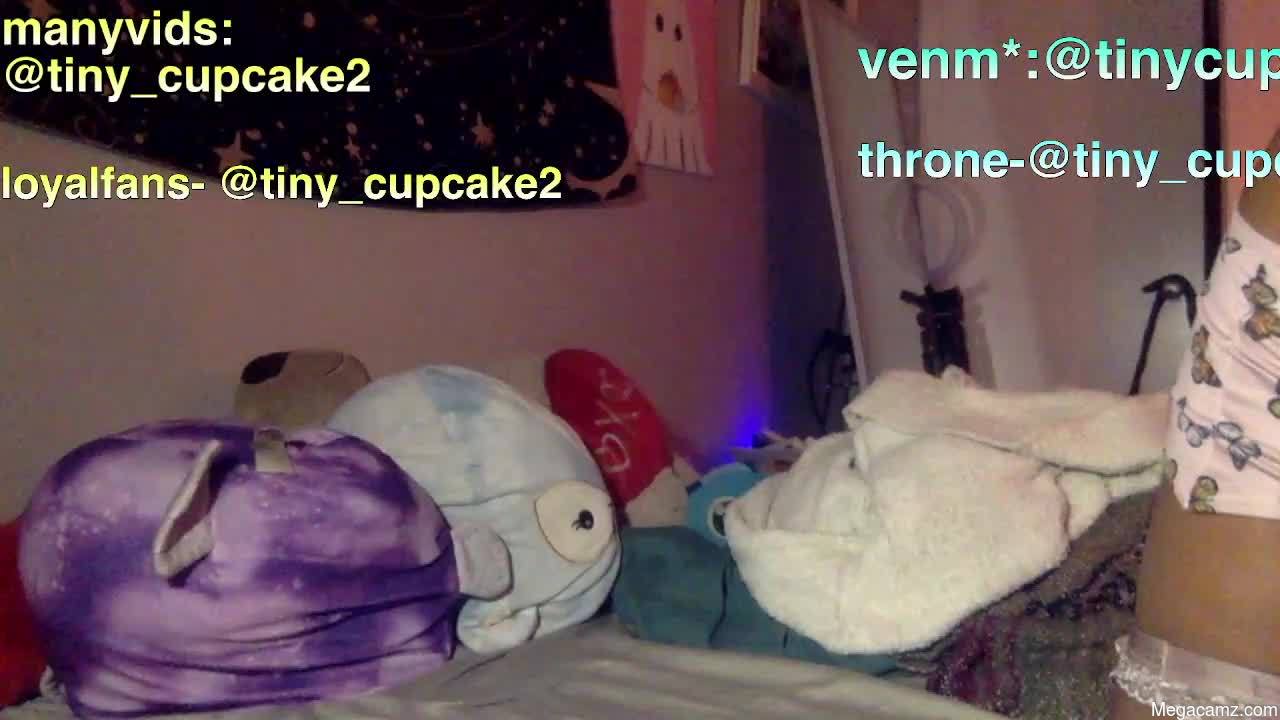 Tiny_cupcake2