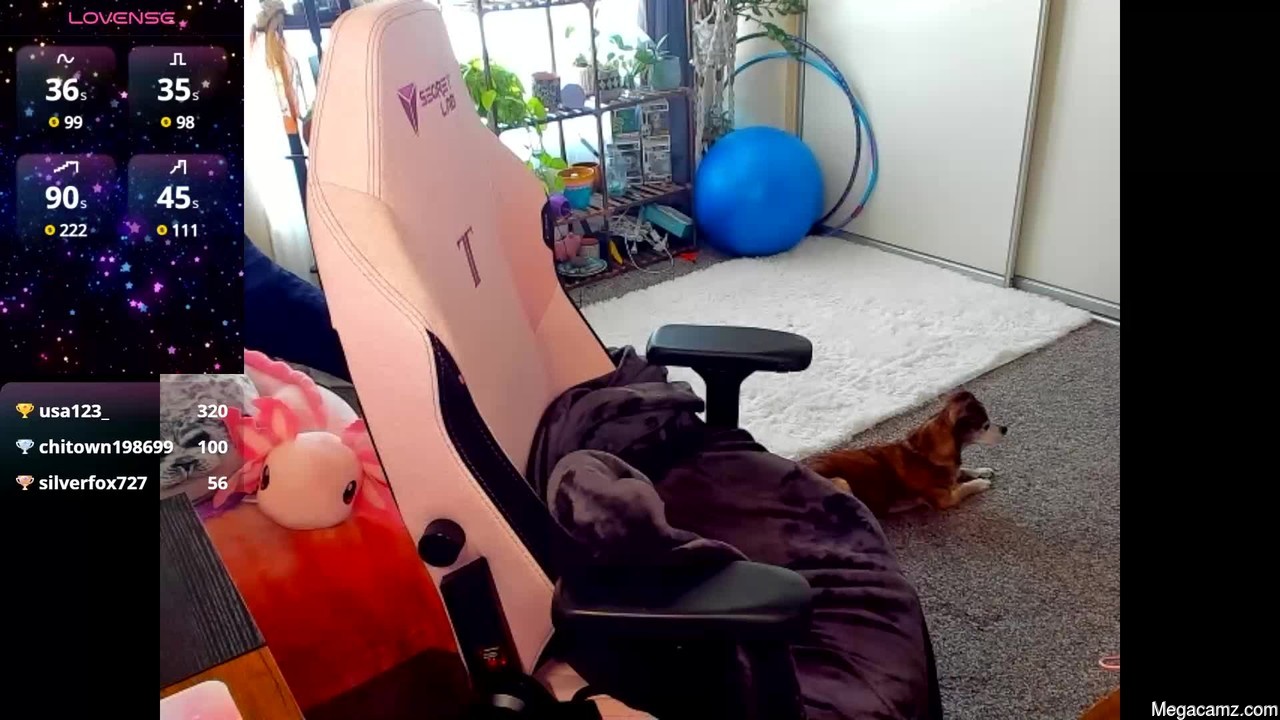 Abbifox5